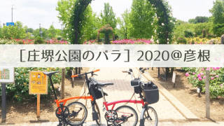 庄堺公園のバラ2020 タイトル