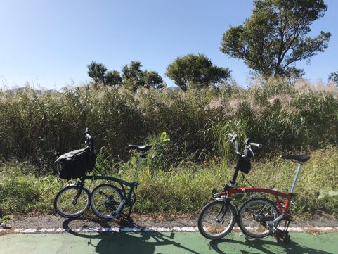 BROMPTON